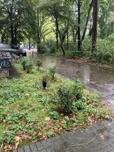 Bild zu gemeldetem Anliegen vom *2025-09-09 09:35:02