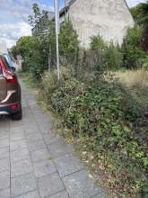 Bild zu gemeldetem Anliegen vom *2025-09-13 15:35:48