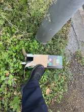 Bild zu gemeldetem Anliegen vom *2025-09-17 11:06:53