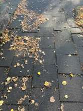 Bild zu gemeldetem Anliegen vom *2025-09-15 12:52:27