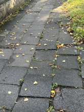 Bild zu gemeldetem Anliegen vom *2025-09-15 12:57:05