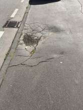 Bild zu gemeldetem Anliegen vom *2025-09-12 12:29:17