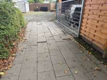 Bild zu gemeldetem Anliegen vom *2025-09-12 18:32:12