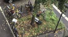 Bild zu gemeldetem Anliegen vom *2025-09-09 15:27:37