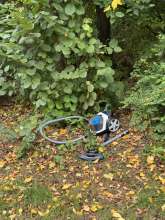 Bild zu gemeldetem Anliegen vom *2025-09-03 09:27:55
