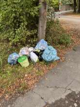 Bild zu gemeldetem Anliegen vom *2025-09-17 12:27:05