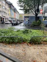 Ein leeres Baumbeet, wo sich mal ein Baum befunden hat.