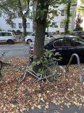 Bild zu gemeldetem Anliegen vom *2025-09-07 06:30:18