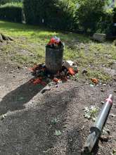 Bild zu gemeldetem Anliegen vom *2025-09-05 15:27:53