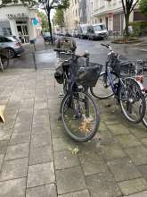 Bild zu gemeldetem Anliegen vom *2025-09-01 09:00:27