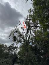 Bild zu gemeldetem Anliegen vom *2025-09-17 12:52:47