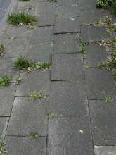 Bild zu gemeldetem Anliegen vom *2025-09-17 09:28:15
