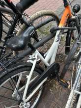 Bild zu gemeldetem Anliegen vom *2025-09-04 06:32:49