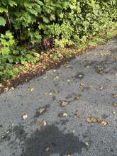 Bild zu gemeldetem Anliegen vom *2025-09-10 08:28:06