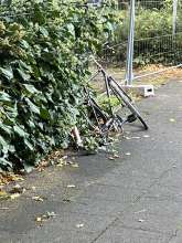 Bild zu gemeldetem Anliegen vom *2025-09-28 15:27:54