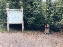 Bild zu gemeldetem Anliegen vom *2025-09-03 15:32:16