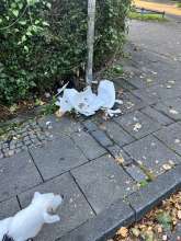 Bild zu gemeldetem Anliegen vom *2025-09-05 08:05:31