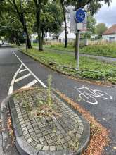 Bild zu gemeldetem Anliegen vom *2025-09-10 06:27:49