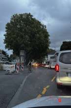 Rückstau bis zum Rewe vom *2025-09-15 06:27:49