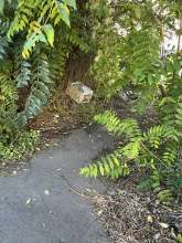 Bild zu gemeldetem Anliegen vom *2025-09-12 13:15:56