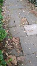 Bild zu gemeldetem Anliegen vom *2025-09-01 15:35:48