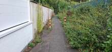 Bild zu gemeldetem Anliegen vom *2025-09-14 12:29:19