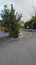Bild zu gemeldetem Anliegen vom *2025-09-06 06:32:29