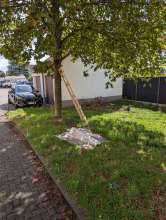 Bild zu gemeldetem Anliegen vom *2025-09-14 15:28:23