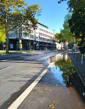 Bild zu gemeldetem Anliegen vom *2025-09-15 14:53:52