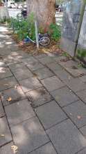 Bild zu gemeldetem Anliegen vom *2025-09-06 12:35:54