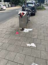 Bild zu gemeldetem Anliegen vom *2025-09-01 15:35:48