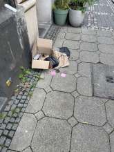 Bild zu gemeldetem Anliegen vom *2025-09-14 12:06:32