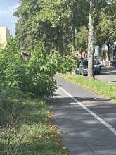 Bild zu gemeldetem Anliegen vom *2025-09-11 12:30:06