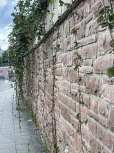 Bild zu gemeldetem Anliegen vom *2025-09-11 17:22:49
