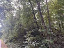 Bild zu gemeldetem Anliegen vom *2025-09-11 15:35:07
