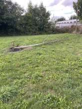 Bild zu gemeldetem Anliegen vom *2025-09-13 15:35:48