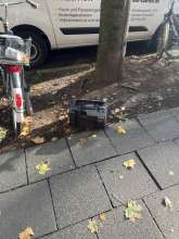 Bild zu gemeldetem Anliegen vom *2025-09-14 09:23:29