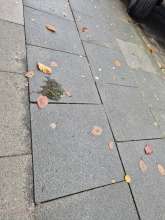 Bild zu gemeldetem Anliegen vom *2025-10-20 09:33:51