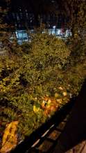 Bild zu gemeldetem Anliegen vom *2025-10-22 06:29:16
