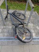 Bild zu gemeldetem Anliegen vom *2025-10-26 12:28:59