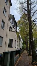 Bild zu gemeldetem Anliegen vom *2025-10-21 18:27:30