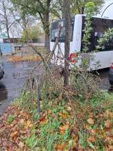 Bild zu gemeldetem Anliegen vom *2025-10-27 14:39:55