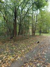 Bild zu gemeldetem Anliegen vom *2025-10-27 12:30:14