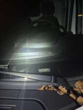 FIN, Peugeot, Weiss, Transporter