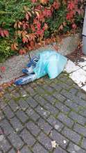 Bild zu gemeldetem Anliegen vom *2025-10-14 13:36:15