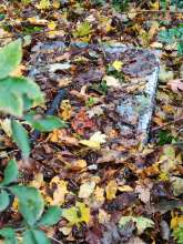 Bild zu gemeldetem Anliegen vom *2025-10-21 12:30:44