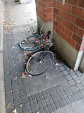 Bild zu gemeldetem Anliegen vom *2025-10-02 15:28:12