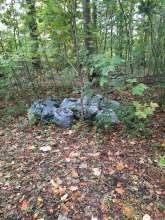 Bild zu gemeldetem Anliegen vom *2025-10-05 09:28:56