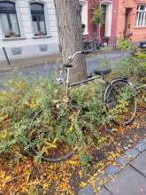 Bild zu gemeldetem Anliegen vom *2025-10-17 06:31:09