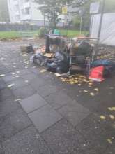 Bild zu gemeldetem Anliegen vom *2025-10-28 09:33:57